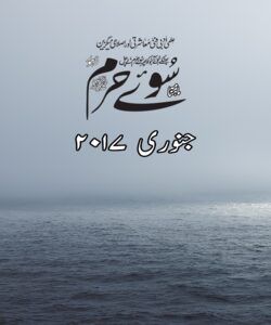 2017 جنوری 