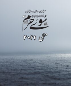 مئی2016