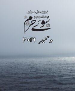دسمبر 2016