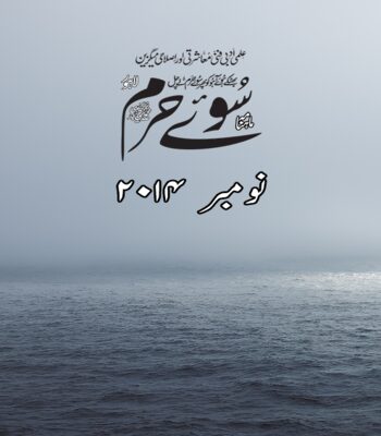 نومبر 2014