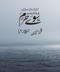 نومبر 2014