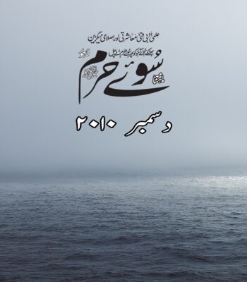 دسمبر 2010