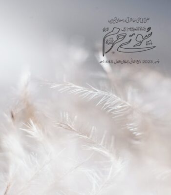 نومبر 2023