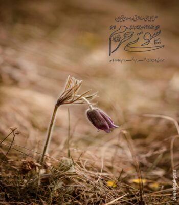 جولائی 2024