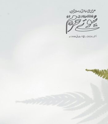 اكتوبر 2024