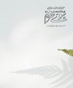 اكتوبر 2024