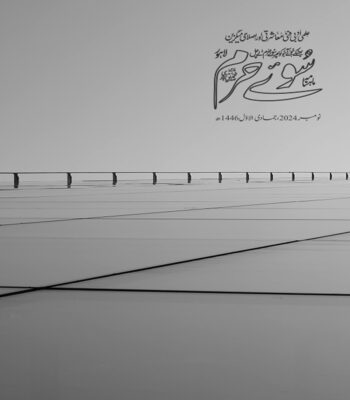 نومبر 2024