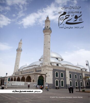 نومبر 2025