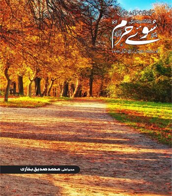 اكتوبر 2026